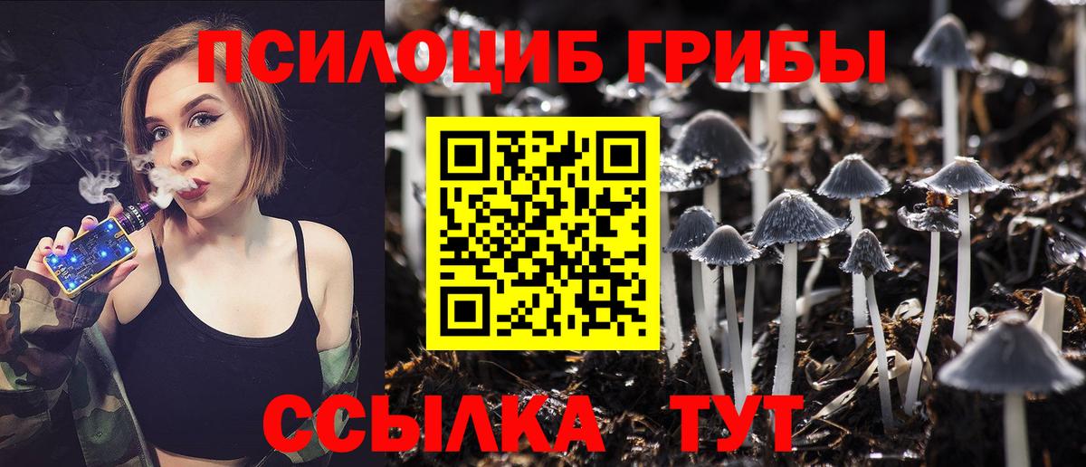 Десногорск  Галлюциногенные грибы Psilocybe  Вход с VPN 