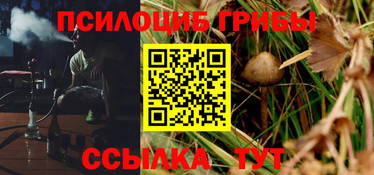 Псилоцибиновые грибы MAGIC MUSHROOMS Десногорск