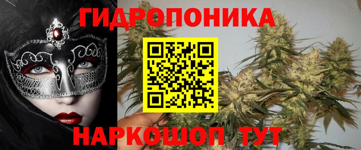 Шишки марихуана индика  Вход с VPN  Шишки марихуана LSD WEED  Десногорск  Марихуана Ganja 